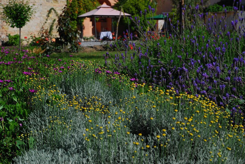 Torrazza  Agriturismo Coppi Rossi מראה חיצוני תמונה