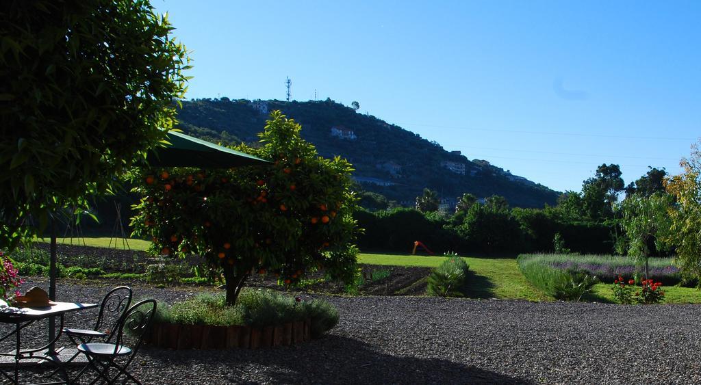 Torrazza  Agriturismo Coppi Rossi מראה חיצוני תמונה